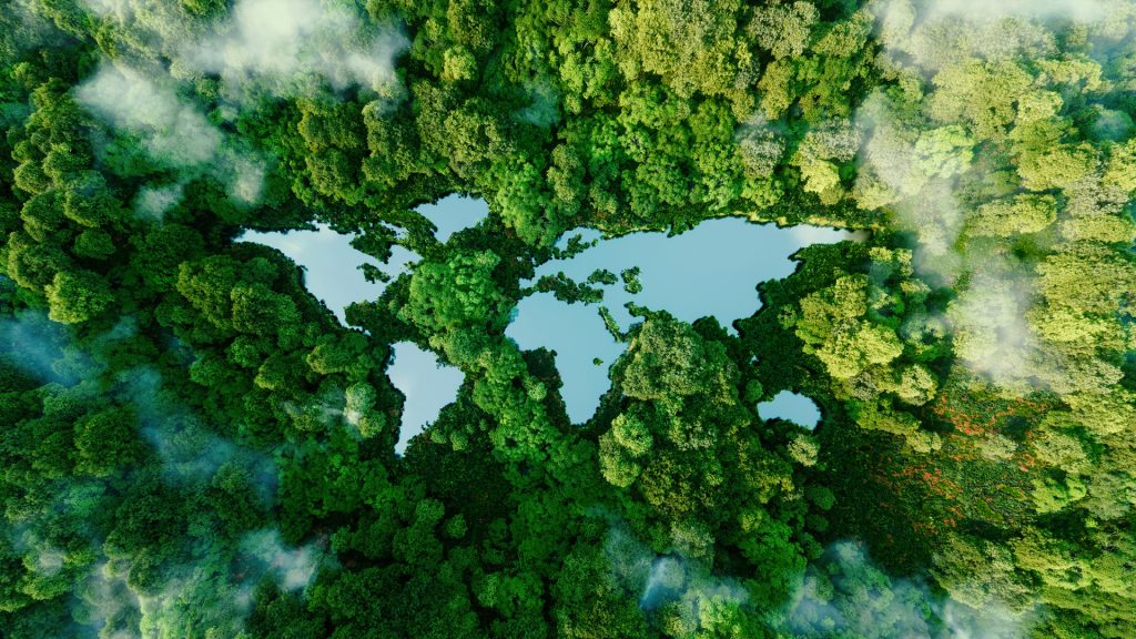 Wald mit Gewässern in Form der Weltkarte